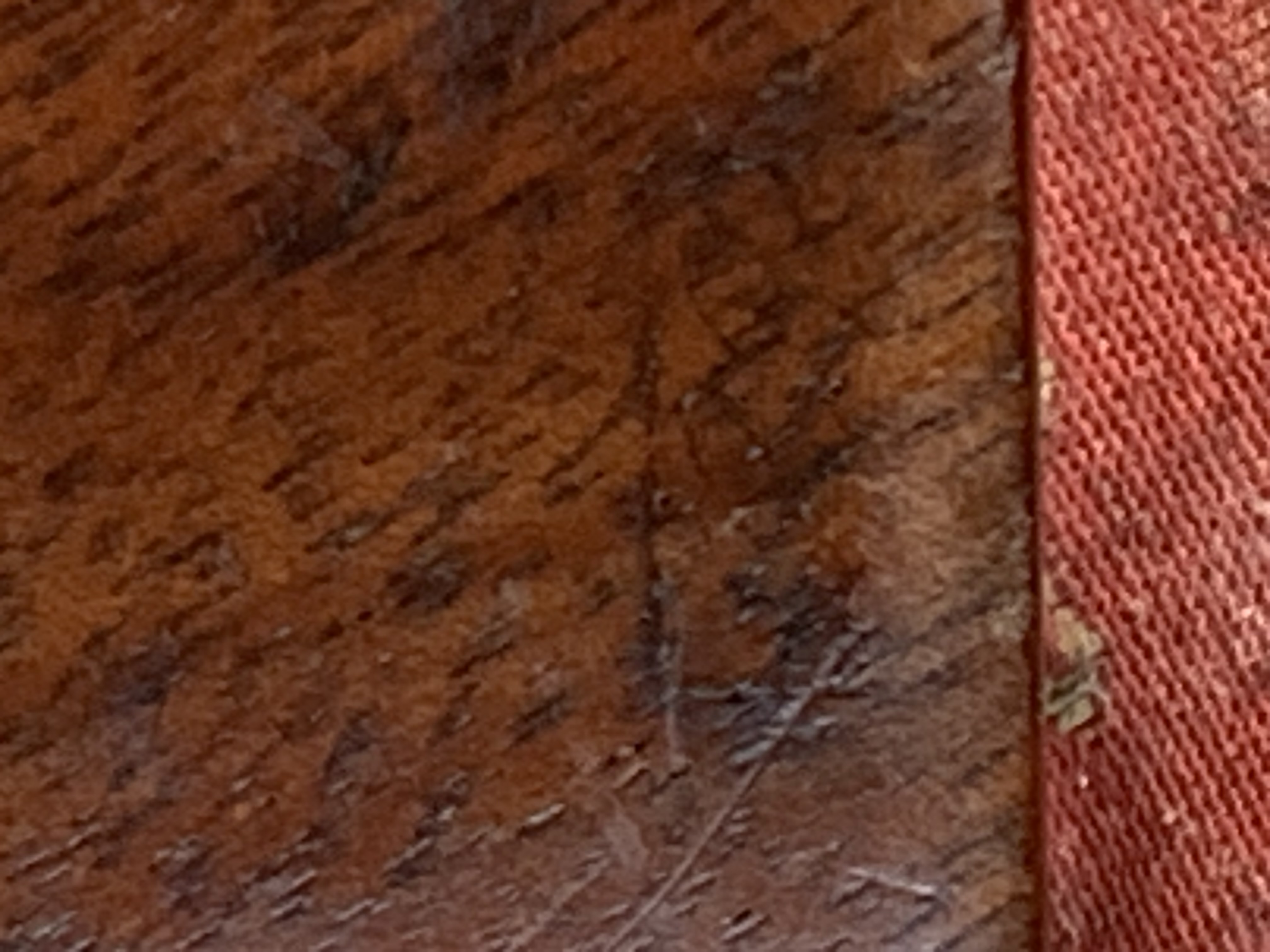 IMG_0353.jpeg