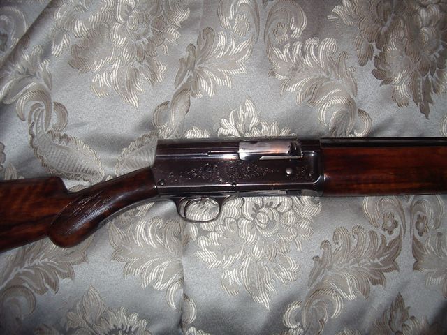 IMGP3164.JPG