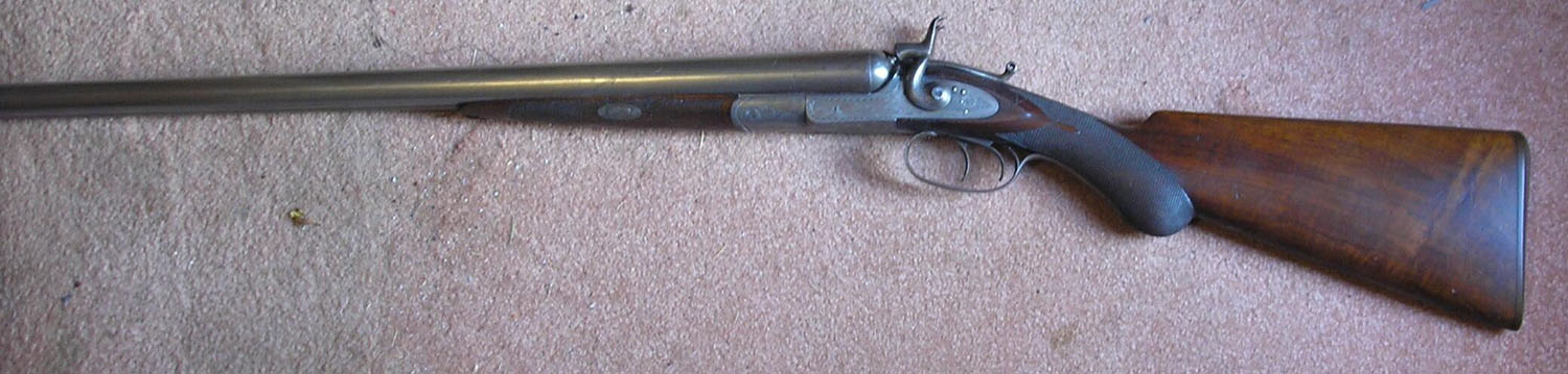 smallSotgun04.jpg