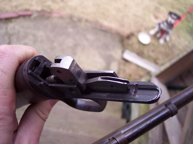 remington 22Take down 2.jpg
