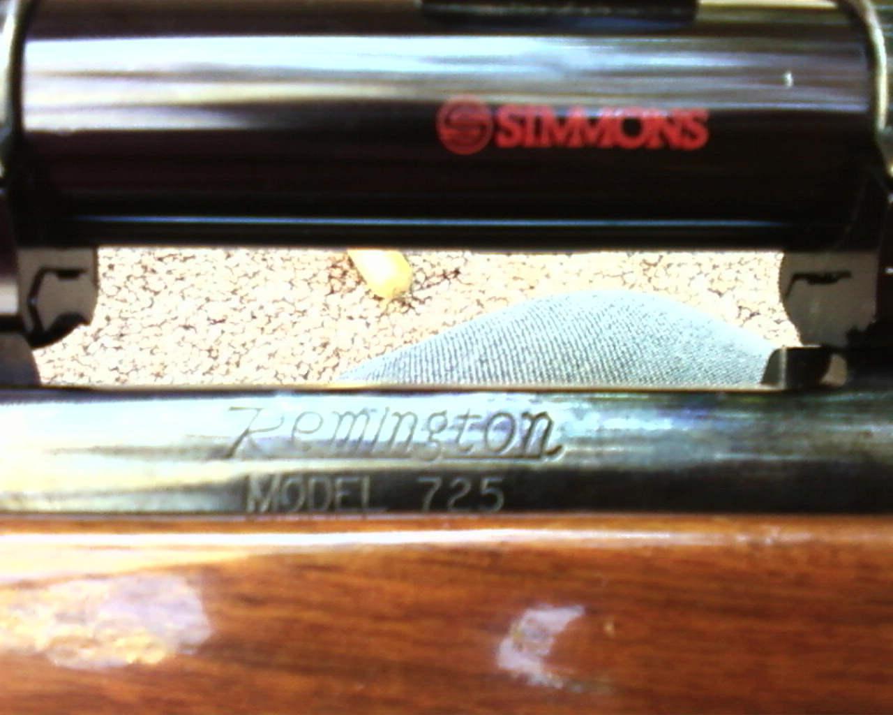 Photo-0008..jpg