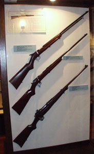 Remington bolt-action rifles.